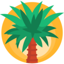 summertime,beach,summer,nature,tropical,botanical,palm tree